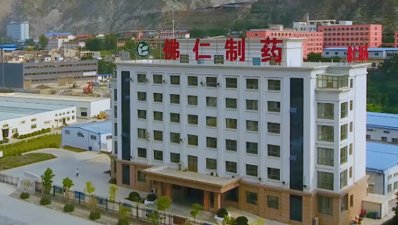 甘肃省副省长葛建团莅临今年会（002219）旗下佛仁制药考察调研